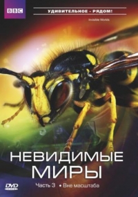 Невидимые миры ВВС