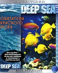 Обитатели Красного моря