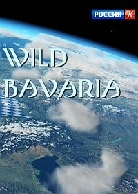 Дикая природа Баварии