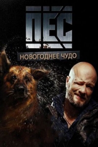 Новогодний Пес