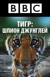 Тигр: Шпион джунглей