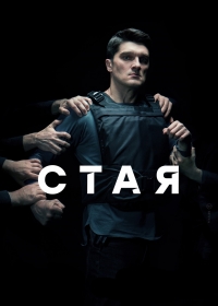Стая (Россия)