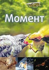 Момент