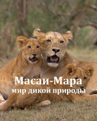 Масаи-Мара: мир дикой природы
