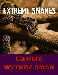 Самые жуткие змеи