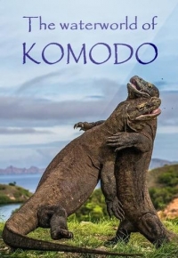 Водный мир острова Комодо