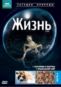 BBC: Жизнь