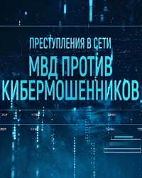 Преступления в сети: МВД против кибермошенников